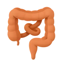 Bowel obstruction