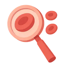 Anaemia investigation