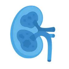 Chronic kidney disease
