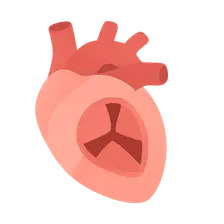Valvular heart disease