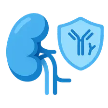 Immunology of Transplantation