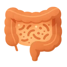 Gut Microbiome