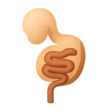 Development of Gastrointestinal System