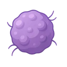 Cancer Biology and Carcinogenesis