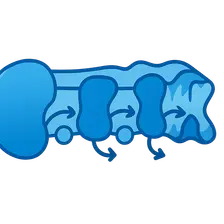 Electron Transport Chain