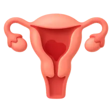 Postpartum Hemorrhage Management