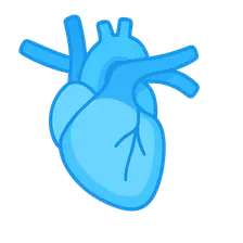 Venous Return and Central Venous Pressure