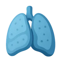 Cells and Organs of Immune System