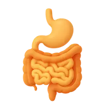 Gastrointestinal hormones