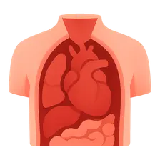 Internal Examination