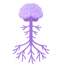 Organization of the Nervous System