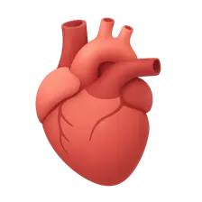 Hypertensive Heart Disease