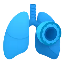 Asthma pathophysiology and diagnosis