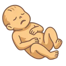 Examination of Infant Remains