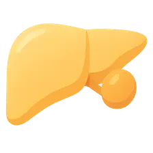 Congenital Liver Diseases