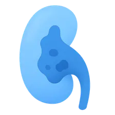 Drug-Induced Kidney Injury