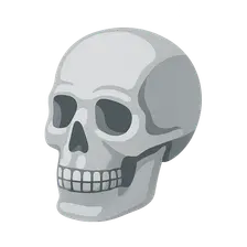 Radiographic Anatomy of Skull and Face