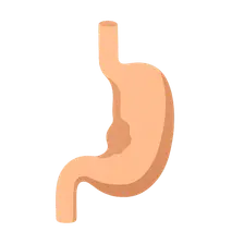 Esophageal pathology
