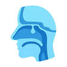 CSF Rhinorrhea
