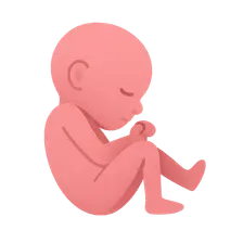 Low Birth Weight and Prematurity