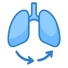 Integrated respiratory responses