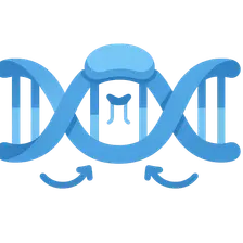 Nucleotide excision repair