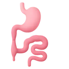 Gastrointestinal malformations