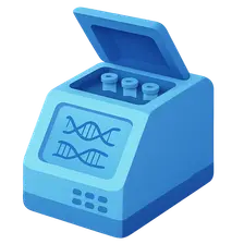 Real-Time PCR