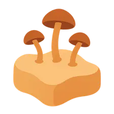 Endemic Mycoses