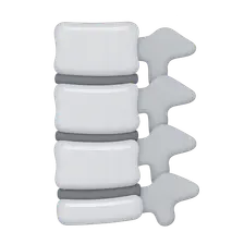 Radiographic Anatomy of Spine