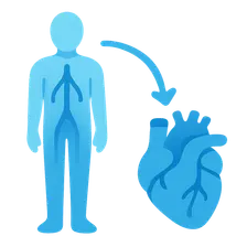 Orthostatic changes in hemodynamics