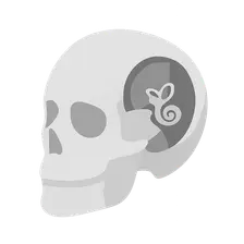 Skull Base Surgery
