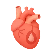 Heart failure pathophysiology