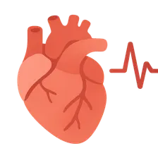 Effects of heart rate on cardiac cycle