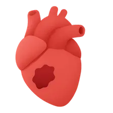 Myocardial infarction pathology