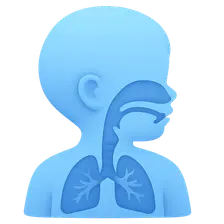 Anatomical and Physiological Differences in Children