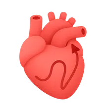 Supraventricular tachycardias