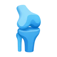 knee)