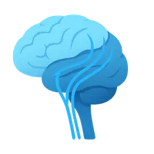 Neural Pathways and Tracts