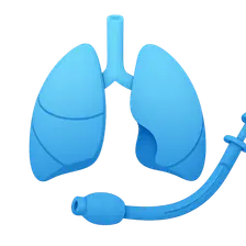 One-Lung Ventilation Techniques
