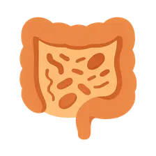 Microbiome in antibiotic-associated diarrhea