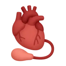 Advanced heart failure and transplantation