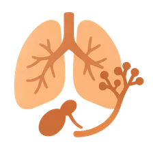 Host factors in dimorphic fungal infections
