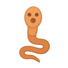 Classification of Parasites