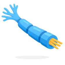 Peripheral nerve disorders