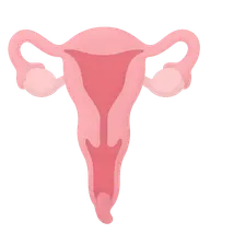 Uterine Prolapse