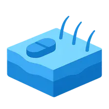 Absorption factors and bioavailability
