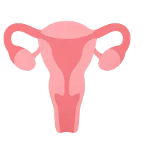 Gynecologic emergency procedures