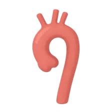 Aortic and Great Vessel Imaging