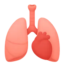 Airway, Breathing, Circulation priorities
